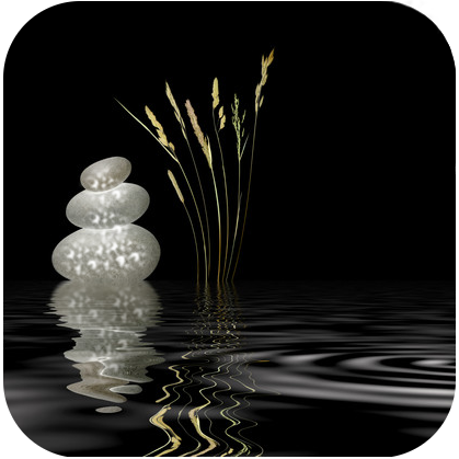 PCSANDCA's profile picture. Poised Creation's San Diego network! Everything that is specific to San Diego or its surrounding area pertaining to our artists will be tweeted here!