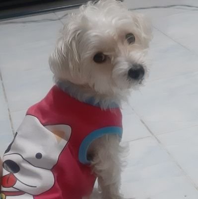 dlKQbxvSTNuqRy2's profile picture. ชีวิตคิดบวกเข้าไว้
#ดุลบาส
# บาสเด็กอ้วนที่แท้จริง