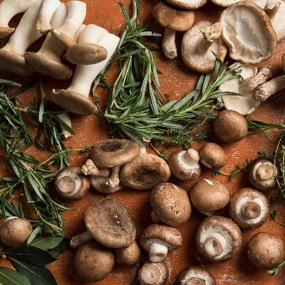 a_barking_tulip's profile picture. they/she, as in: a) they love their neighbors in animal crossing, & b) maybe she will make an actual bio eventually... who knows.