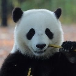 quim305's profile picture. 