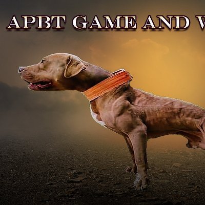 PitbullApbt's profile picture. Welcome To Game Dog & Pitbull Store I https://t.co/Tq3sWoSLg3