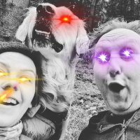 TheGoldenRetrieverRatio♥️ (@nicknack1603) 's Twitter Profile