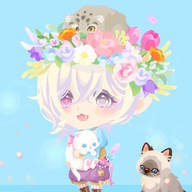 むむさんのプロフィール画像