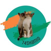 74Shamid🗨️ (@shamid__74) 's Twitter Profile