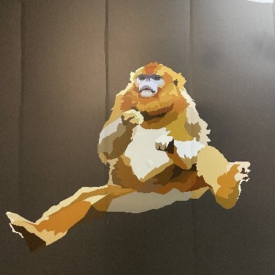 n_avas's profile picture. I offer you my most enthusiastic of contrafibularities | Back off man, I'm a scientist. | Purveyor of irrelevant twaddle | Views are my own