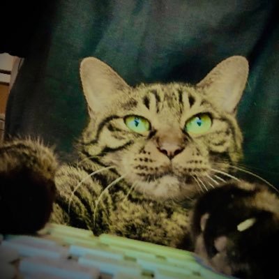 sugimuraさんのプロフィール画像