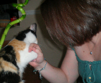 adpoulos's profile picture. 