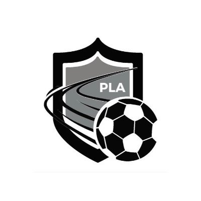 Pro Level Academy Profile