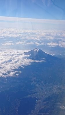 yossy222y's profile picture. 閲覧専用。趣味：ボドゲ