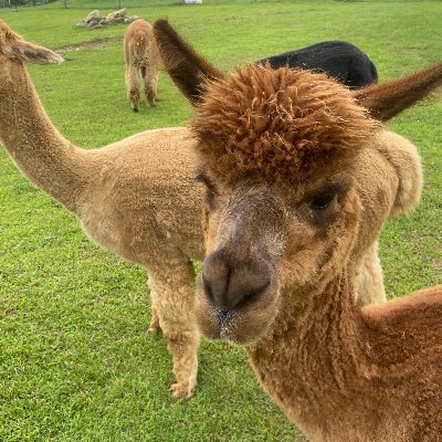 taffy2665's profile picture. 