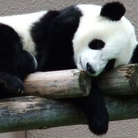 corinth (@corinth) 's Twitter Profile