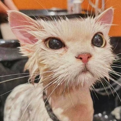 Programming games and stuff.
Previously HAAK(https://t.co/Zqu4dm7htY)