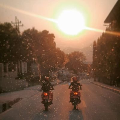 bintang_asd's profile picture. sunflower adictiv 🔰
traveler
.