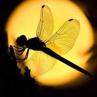 💙Bua💙 (@pari_bua) 's Twitter Profile Photo 💙Bua💙 (@pari_bua) 's Twitter Profile Photo
