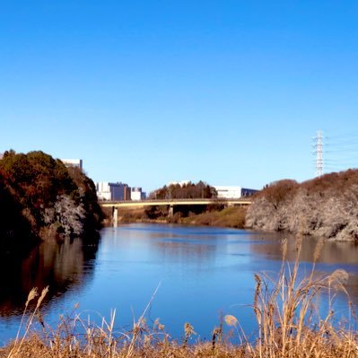 BTasRapid04's profile picture. SIT 4年 情報工学科 〜大学垢〜