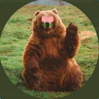 Just Another Bear (@anotherbearcap) 's Twitter Profile Photo Just Another Bear (@anotherbearcap) 's Twitter Profile Photo