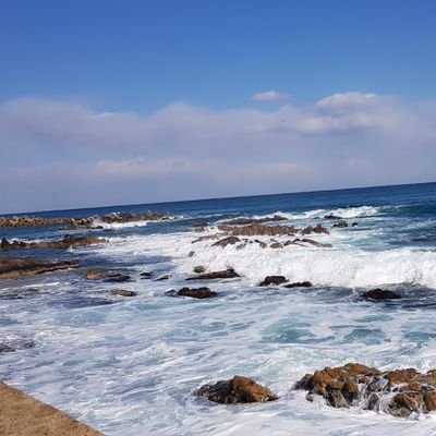 romanceboar's profile picture. Runningman