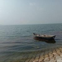 Ajeet S Yadav (@ajeetsyadav93) 's Twitter Profile