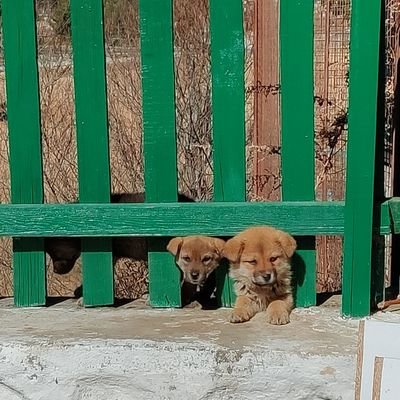 PritamR70701581's profile picture. 