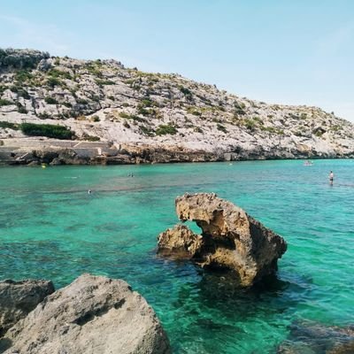 ignotus0038's profile picture. 