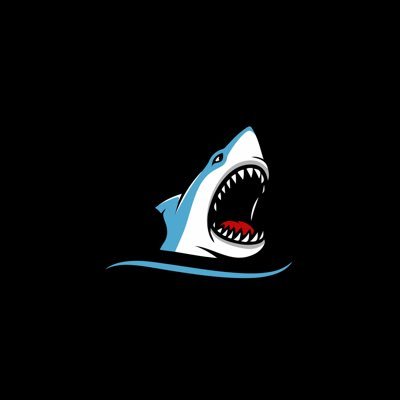 🦈🔥 Official Page 🦈🔥 (Clothing Brand) Order Now Online World Finest Cotton #supima