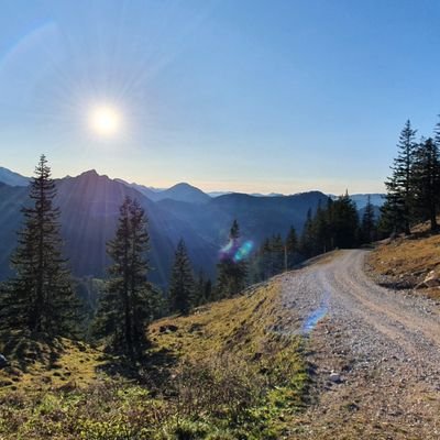 LarryLaker85's profile picture. 