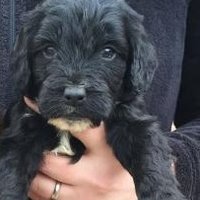 eileen (@eileen54933311) 's Twitter Profile Photo eileen (@eileen54933311) 's Twitter Profile Photo