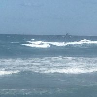 Viking (@this12after) 's Twitter Profile