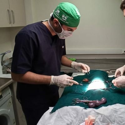 Feyyaz27016009's profile picture. İstanbul üniversitesi - cerrahpaşa veterinerlik fakültesi
Muş-Merkez
Galatasaray
Anatolian rock,physcodelic,funk