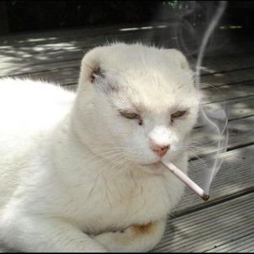 ericchenma's profile picture. 