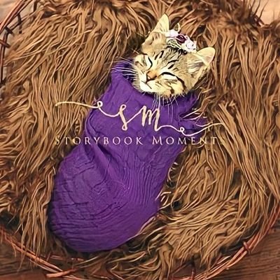 今から起こることに«٩(*´ ꒳ `*)۶»ワクワクしています⤴︎︎⤴︎︎比較的語気強め。あとプロフ見て❤とか変なアカウントは即通報してます、悪しからず