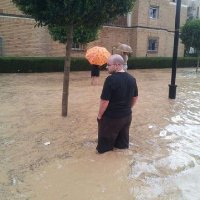 Afedro Mantínez (@afedromantnez) 's Twitter Profile Photo Afedro Mantínez (@afedromantnez) 's Twitter Profile Photo