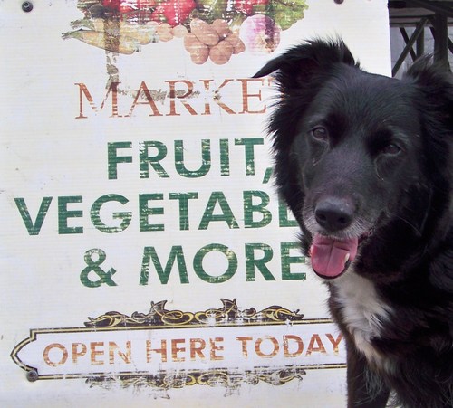 Saturday morning market from 10am - organic fruit & vegetables, cakes & bakes, organic wholefoods, eco products, plants & flowers