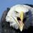 Eagle0762's profile image