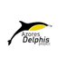 Azores delphis project (@AzoresDelphis) Twitter profile photo