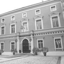 g_netomaitre's profile picture. 