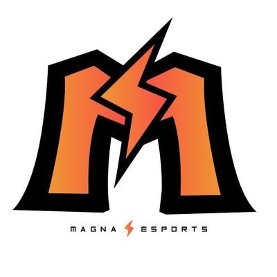 ProAM Spanish Team🏀🎮.
Sponsored by: @MagnaEsport #LetsGoMGN⚡