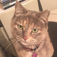 Astrolab (@astrolab0123) 's Twitter Profile