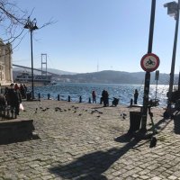 Ali yıldız (@aliyldzpsf) Twitter profile photo