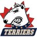 Terriers Baseball (@TerrierTeams) Twitter profile photo