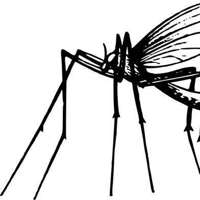 moskit0xsec's profile picture. 