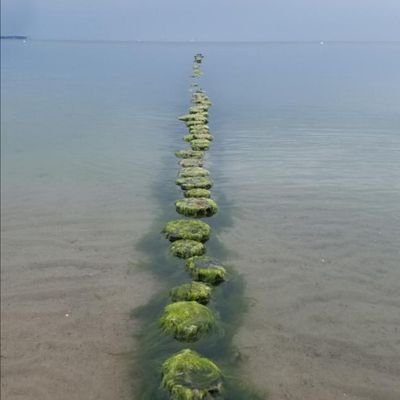 alexgera's profile picture.