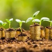 Canadian Investors 🇨🇦| Finding value before the seed sprouts 🌱| Tweets are our opinions 💭| Do your own DD before investing 💰