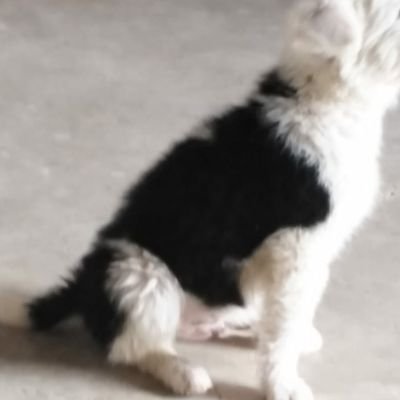 pumartin22's profile picture. 