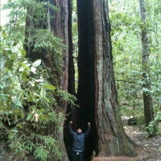 kevinmargate's profile picture. Nice guy with asshole tendencies.