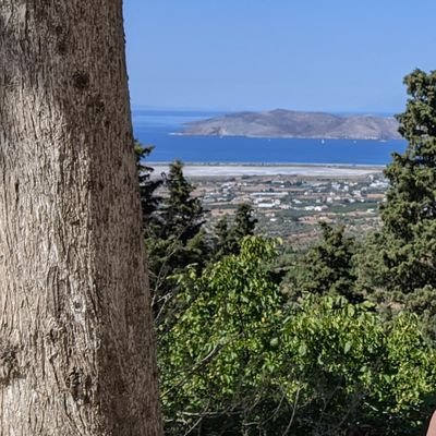 zikobrelli's profile picture. 