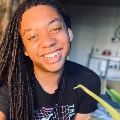 Screenwriter. Recovering Fan-Fiction Author. Meme Sommelier. #BLM 🌈 he/they