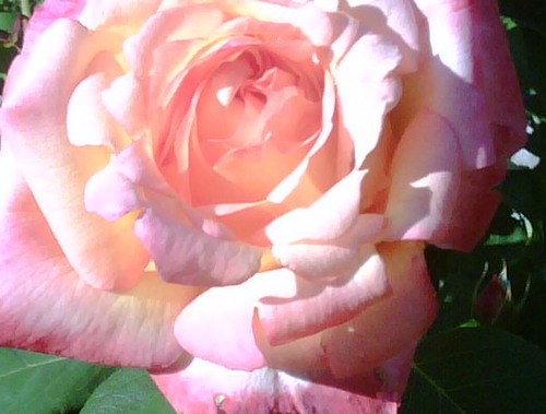 GUILLETURIEL's profile picture. 