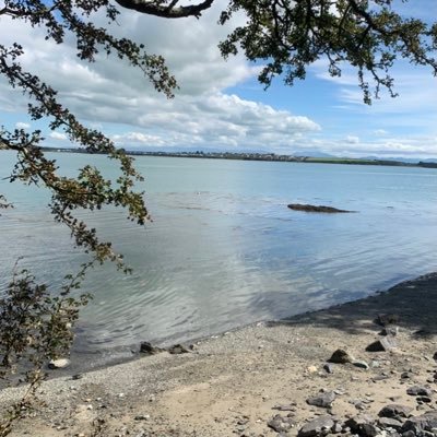 ACHUB PENRHOS / SAVE PENRHOS NATURE RESERVE 🍃💚🍃