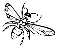 Graphikatelier's profile picture. graphic design, illustration & art